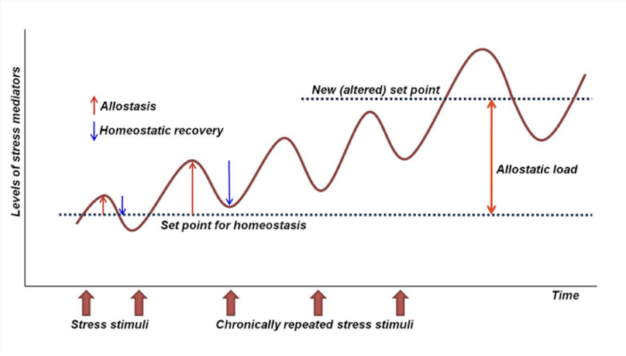 Allostatic load visual graphic