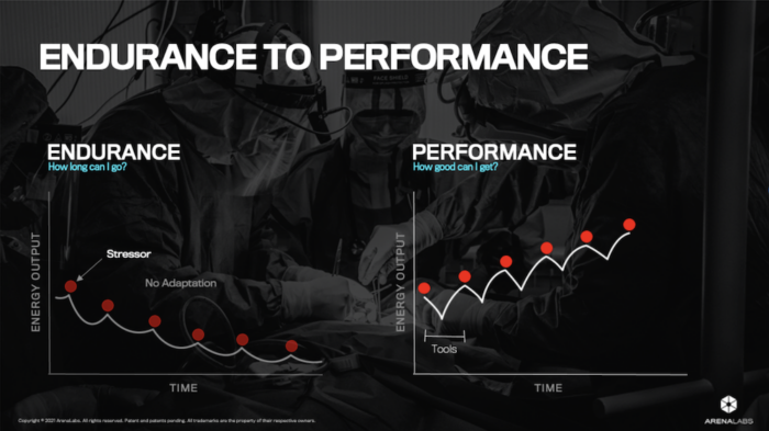 Endurance versus Performance graphic